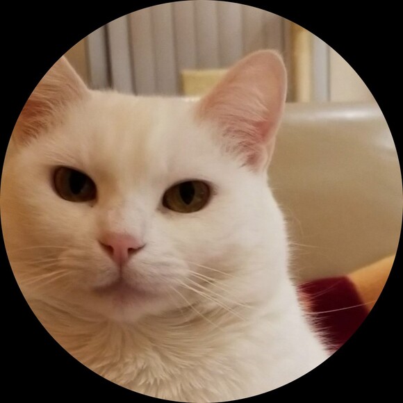 fluffy_26